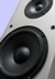 Audio